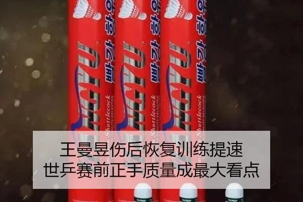 王曼昱伤后恢复训练提速 世乒赛前正手质量成最大看点